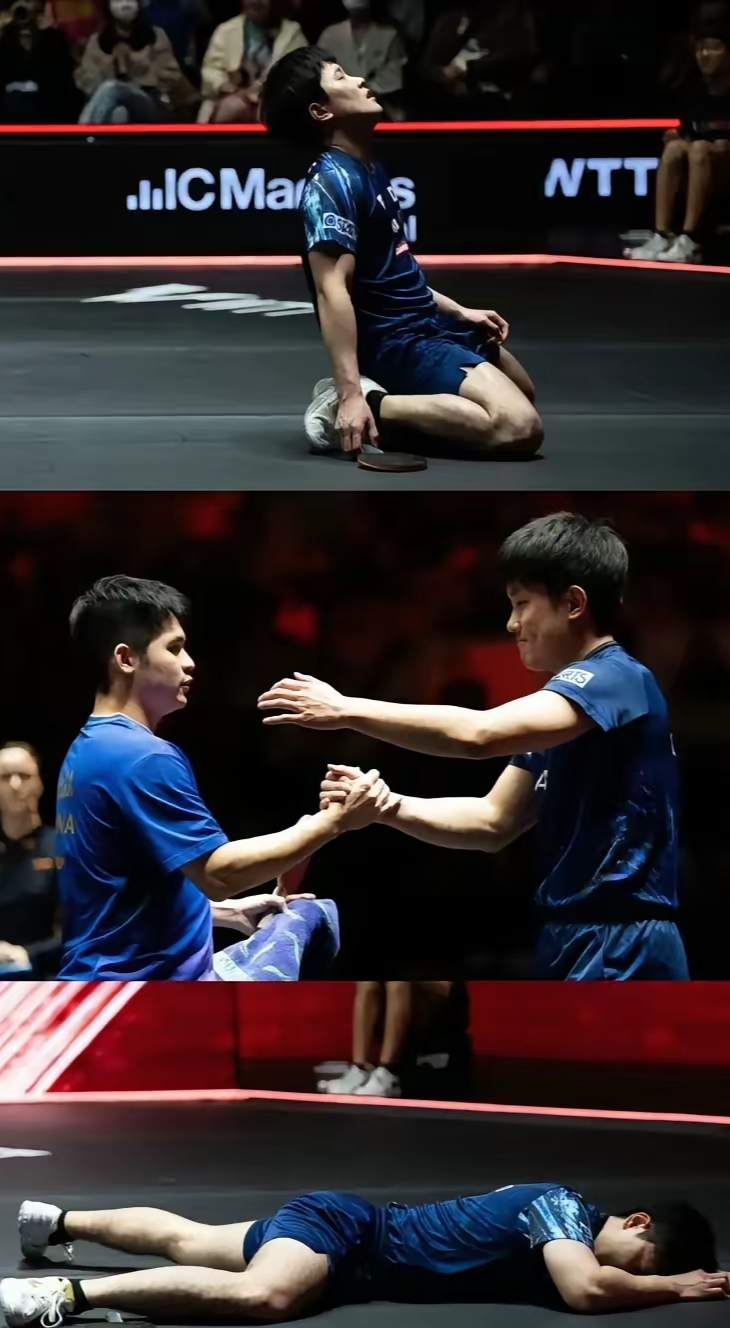 包含奥地利队碾压法国队，张本智和统治全场的词条