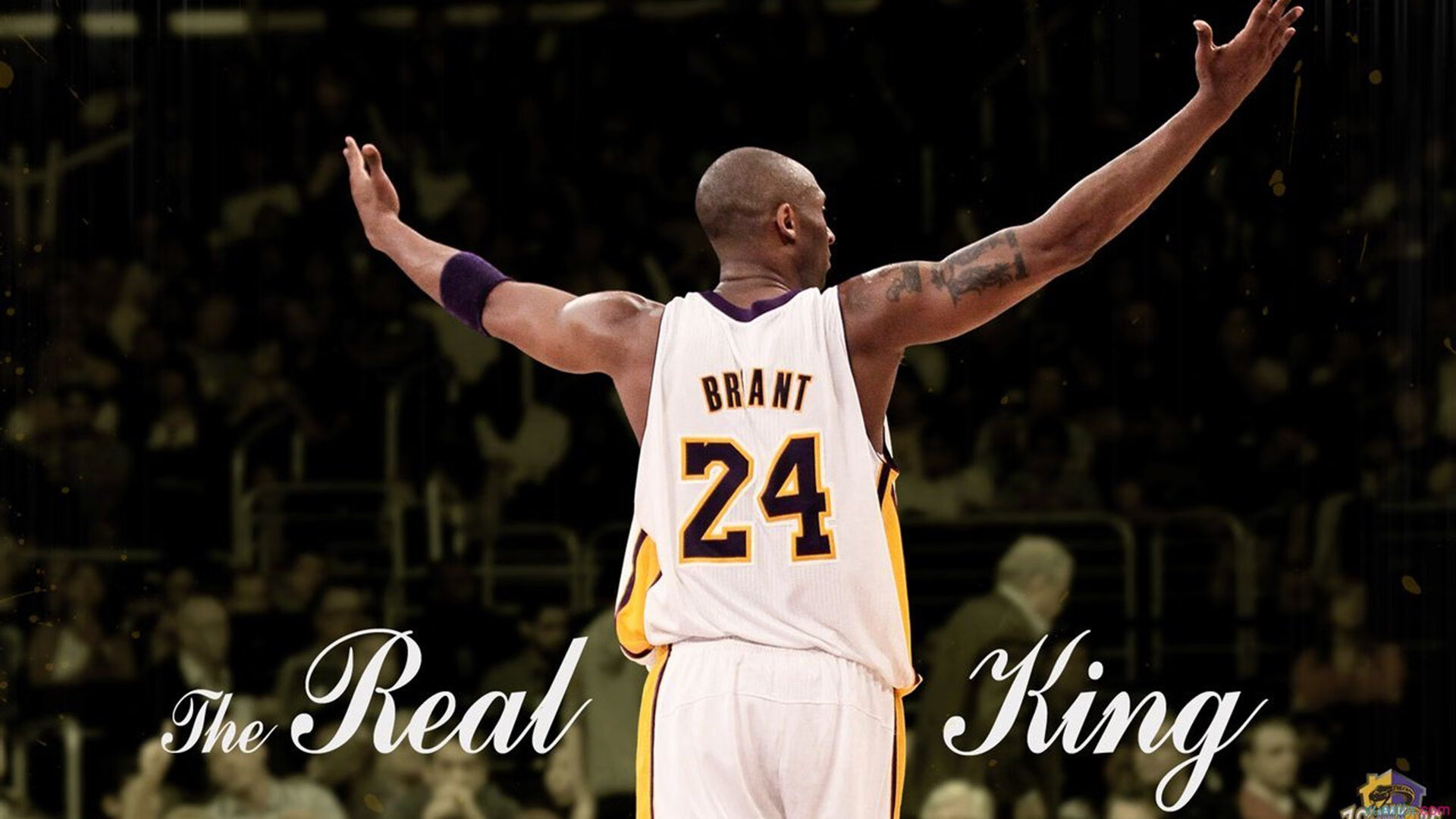 猛龙关键战突围山西队，文班亚马个人能力完全展现